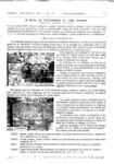 Analema05_P17