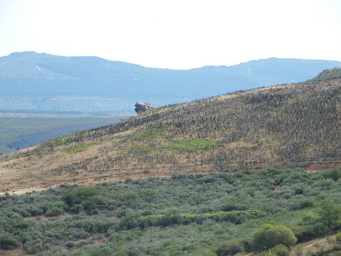 ES_CYL_ZAM Figueruela-de-Arriba-011-06 Peña Alta