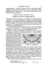 TBoS_P_041