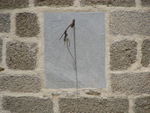 ES_CYL_AVI Piedrahita-002-03