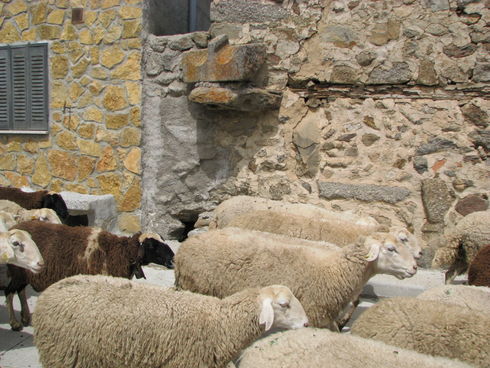 ES_CYL_AVI San-Miguel-de-Corneja-001-07