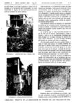 Analema08_P05