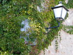 ES_CYL_SOR Medinaceli-001-02 Calle Campo de San Nicolás 4