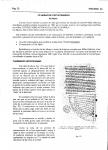 Analema30_P18