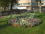 Oxford 010-01 St Giles Place