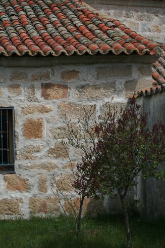 ES_CYL_AVI Amavida-001-01 casa particular