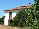 ES_CYL_VALL Medina-de-Rioseco-005-01 Viñagrande